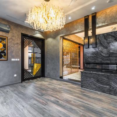 1 Kanal Facing Park Luxury Modern House for Sale