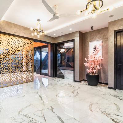 1 Kanal Facing Park Luxury Modern House for Sale