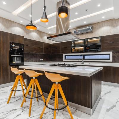 1 Kanal Facing Park Luxury Modern House for Sale