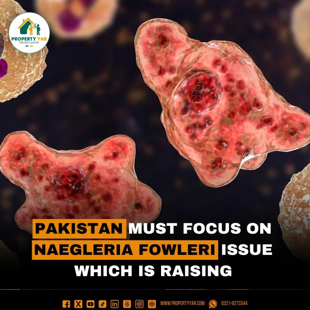 Pakistan must focus on Naegleria Fowleri issue which is raising