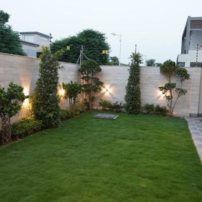 Beautiful1 Kanal New House Available For Rent In DHA Lahore Phase