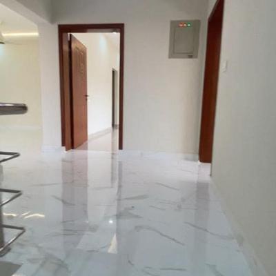 Luxury 10 Marla Brand New House Available For Rent In Askari 10