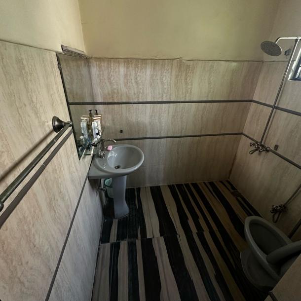 Luxury 10 Marla Corner Full House With Basement Available For Rent In Askari 10-11