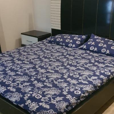 13 Marla Corner Facing Park House Available For Rent In DHA Lahore Phase 5 Block E