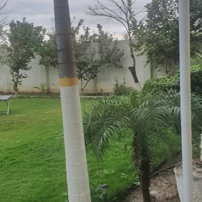 2 bedrooms Farm House Available For Rent In Bedian Road