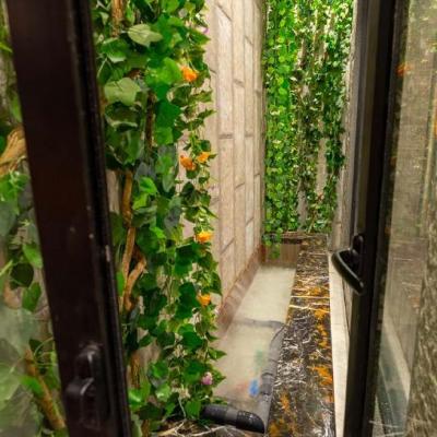 1 kanal Full Furnished Modern House For sale in DHA Phase 6, Lahore Pakistan