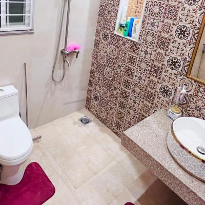 10 Marla House for Sale in DHA Phase 7 Lahore | Full Basement + Fully Furnished