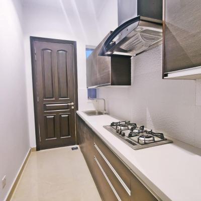 DHA phase 7 1 kanal Brand New House for Rent