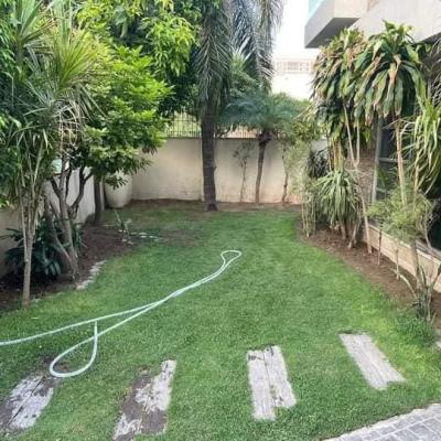 1 Kanal Well Maintain Used House For Sale in DHA Lahore Phase 4 Lahore-2