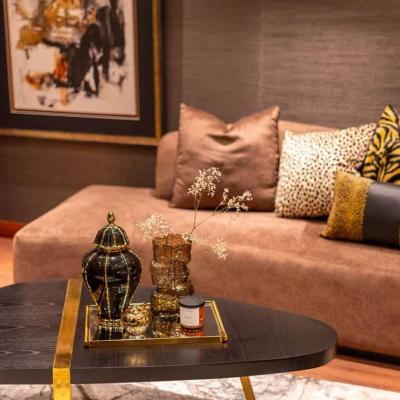 1 kanal Luxury Regal Classical Furnished House For sale in the heart of Lahore Phase 6