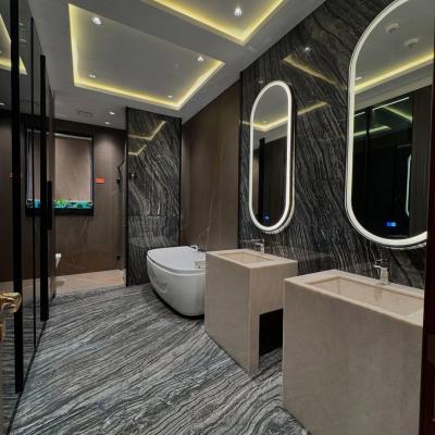 1 kanal Full Furnished Full Basement Modern House For sale in DHA Phase 6, Lahore Pakistan