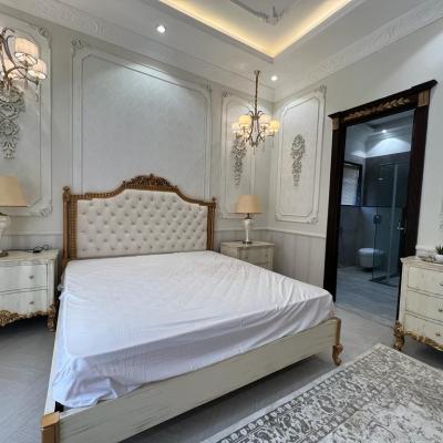 Fully Furnished Brand New 1 Kanal Modern House for Sale in DHA Phase 5 Lahore