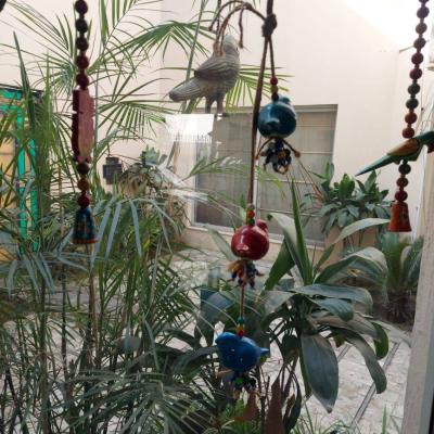 For Rent 1 Kanal Fully Furnished Lower Portion For Rent In DHA Phase 5 Lahore